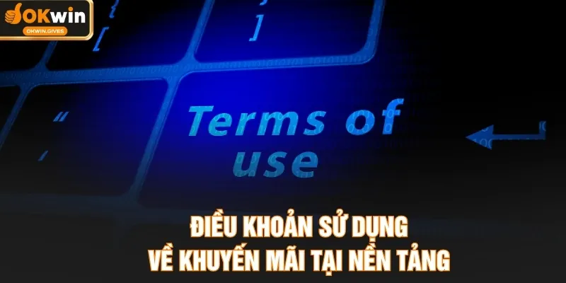Điều khoản sử dụng về khuyến mãi tại nền tảng