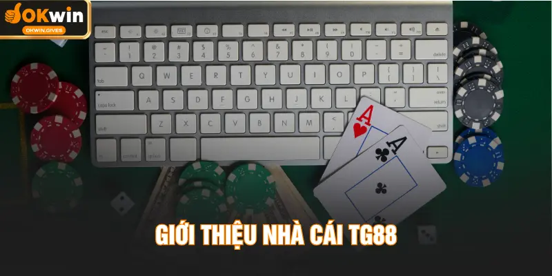 Giới thiệu nhà cái TG88