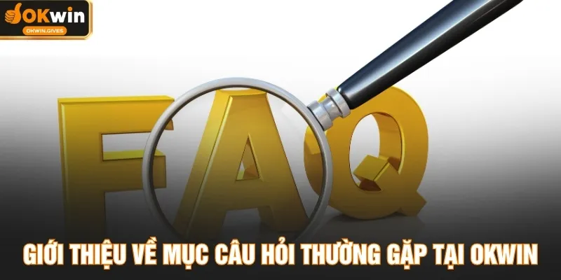 Giới thiệu về mục câu hỏi thường gặp tại OKWIN
