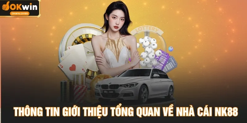 Thông tin giới thiệu tổng quan về nhà cái NK88